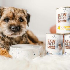 „RAW PALEO“ drėgnas ėdalas