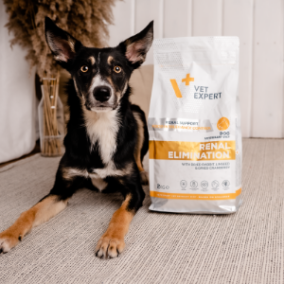 Veterinarinės dietos