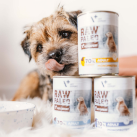 Palaikantysis ėdalas