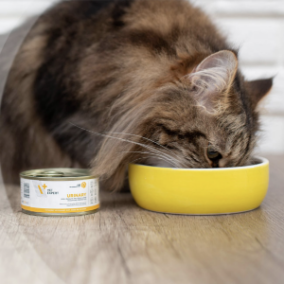 Veterinarinės dietos